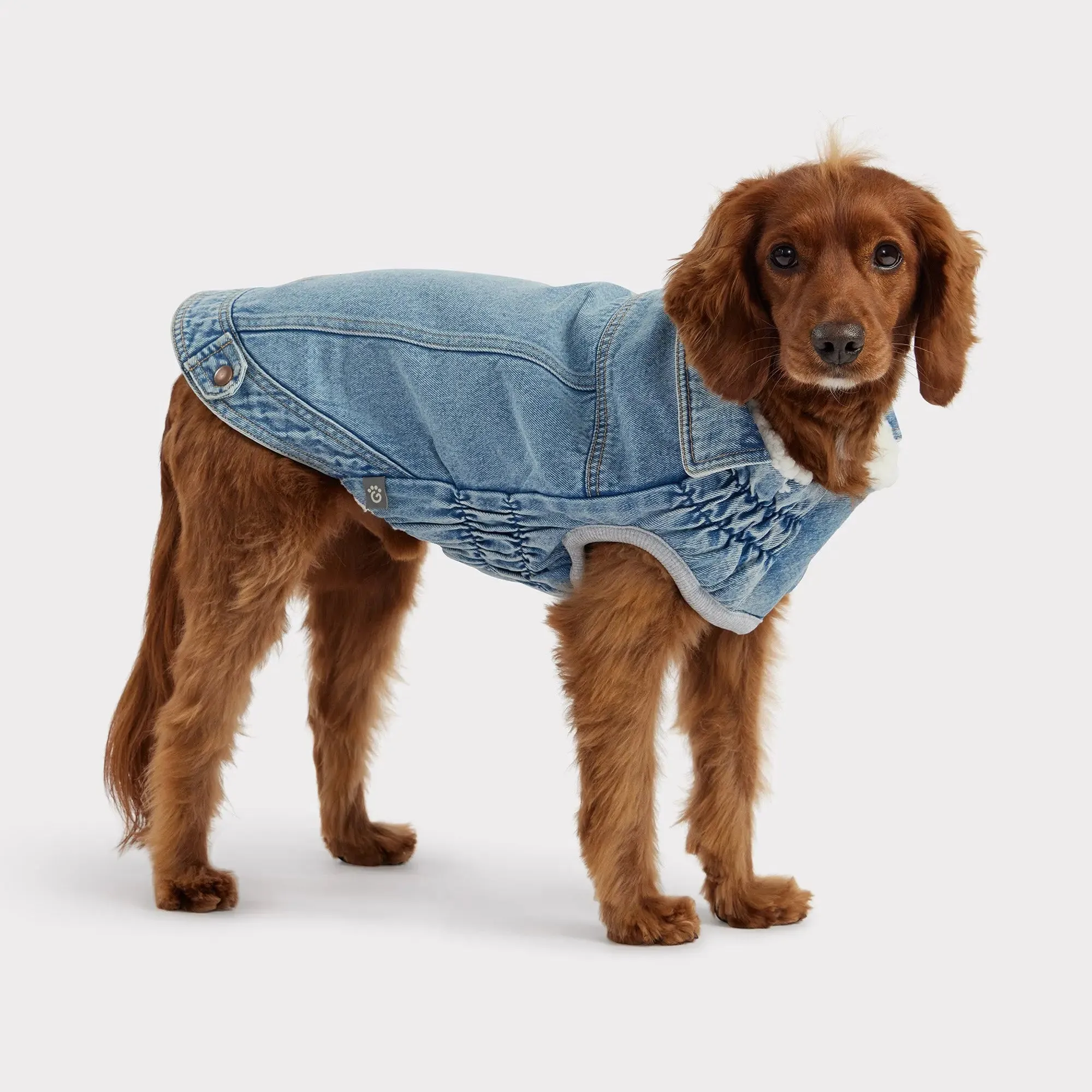 Denim Dog Jacket | Light Wash