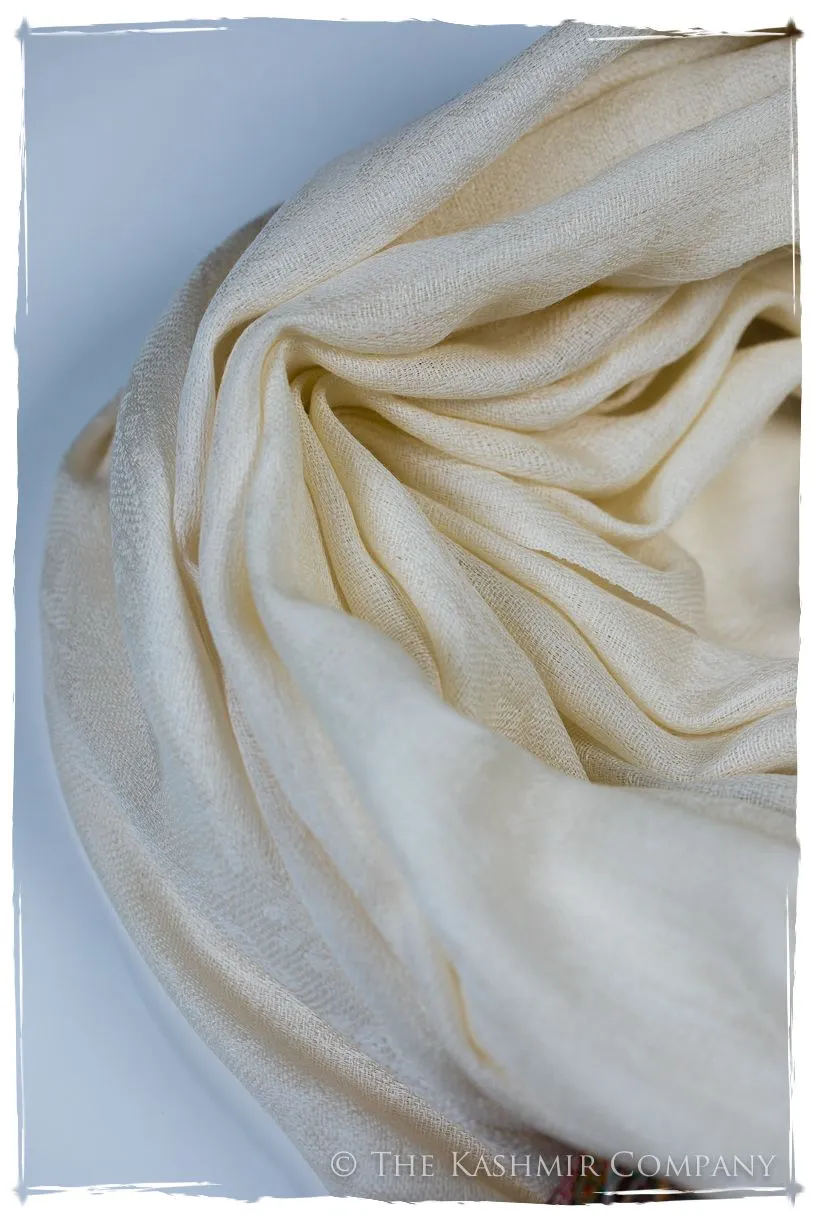 Evangelista Frontière Ivory Kashmir Wool Scarf