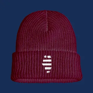 Illinois Beanie