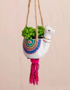 Llama Hanging Succulent