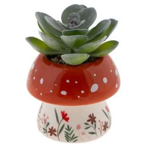 Mushroom Shaped Succulent