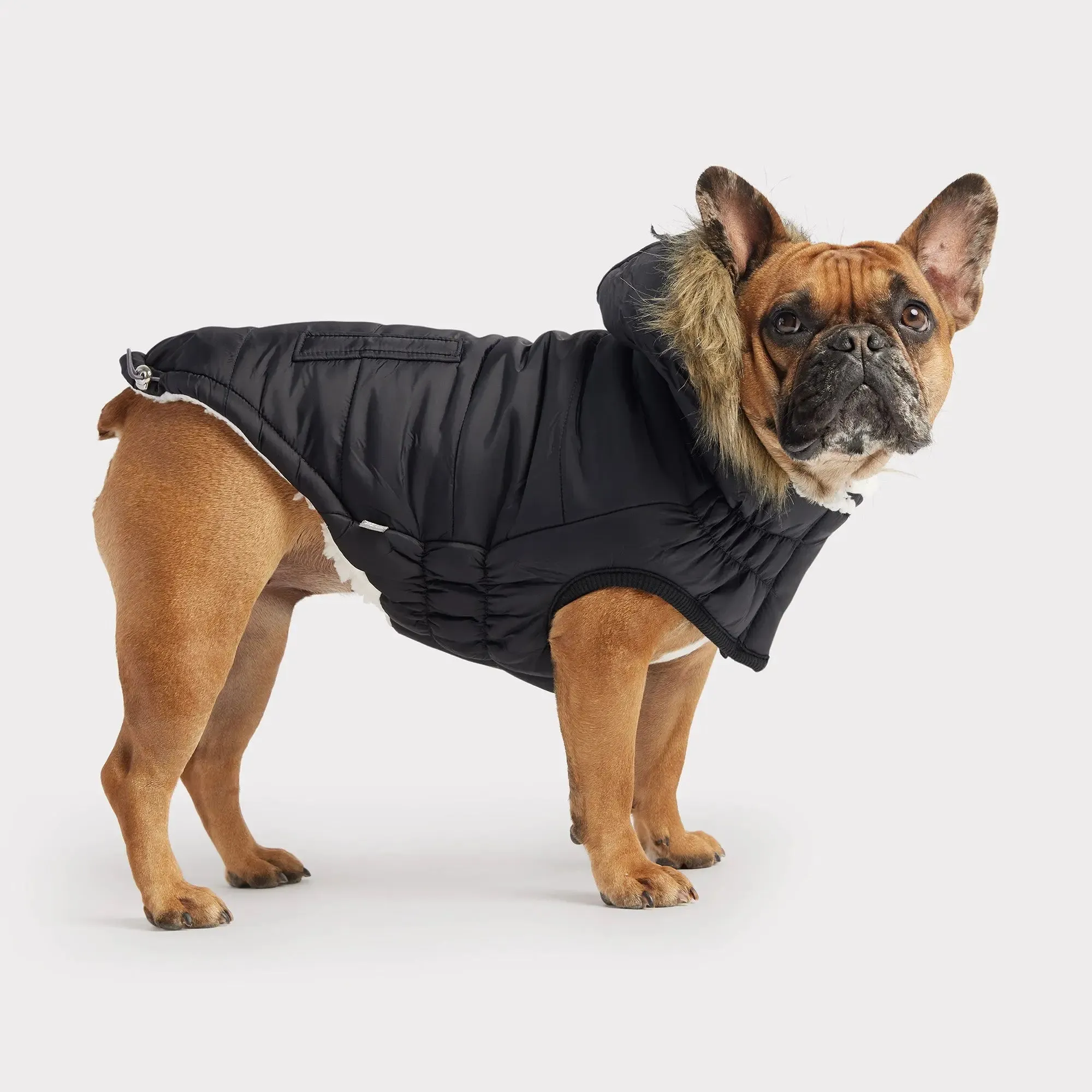 Urban Dog Parka | Black