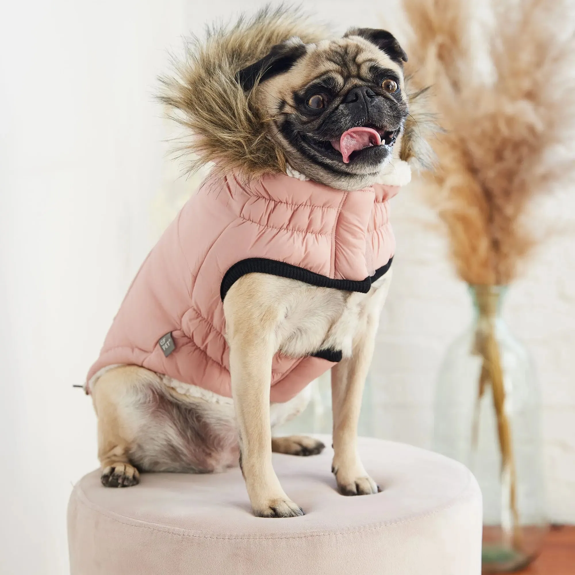 Urban Dog Parka | Pink